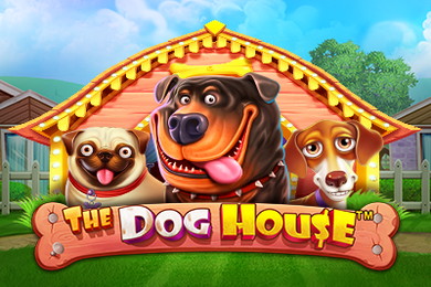 The Dog House автомат Сукааа Казино
